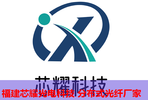 光纖網(wǎng)絡(luò)布局下的政策導(dǎo)向與實踐策略分析