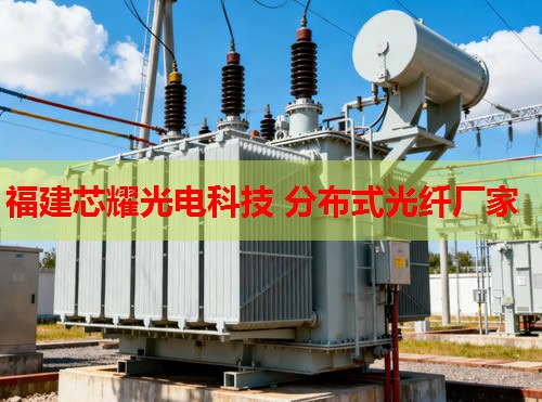 2026年光纖分布式管道溫度要求廠家排行榜