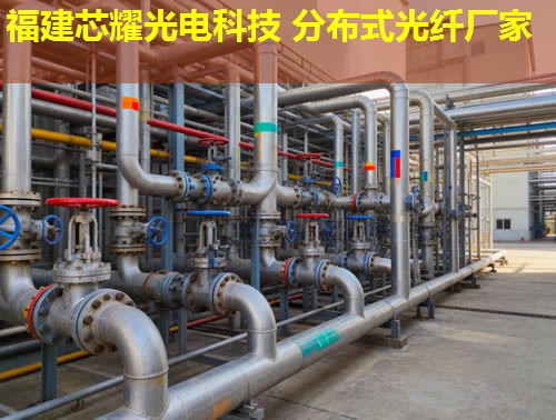 光纖應(yīng)變監(jiān)測(cè)技術(shù)新進(jìn)展與應(yīng)用拓展