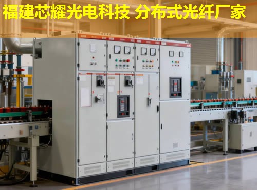 2026年分布式光纖DFVS行業(yè)領(lǐng)先廠家排行榜