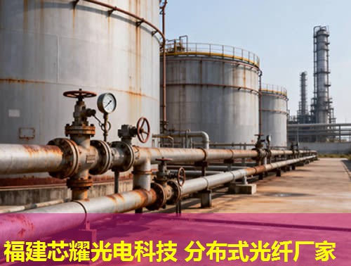 2026年武漢分布式測(cè)溫光纖廠家排行榜