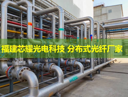 DTS分布式光纖測溫技術助力精準溫控，智慧安防升級新篇章