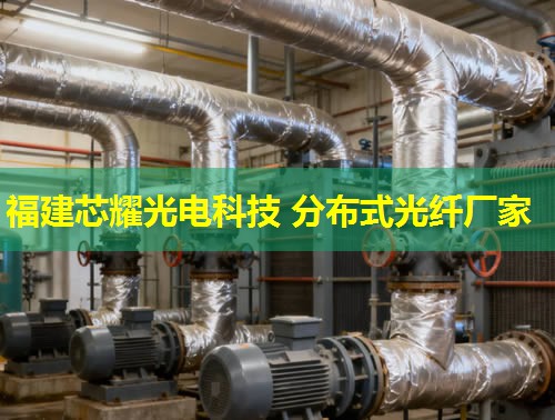 分布式光纖夾具品牌排行推薦 分布式光纖夾具品牌排行推薦