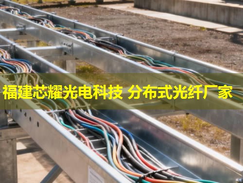 采油分布式光纖檢測(cè)技術(shù)能提高油田效率嗎？