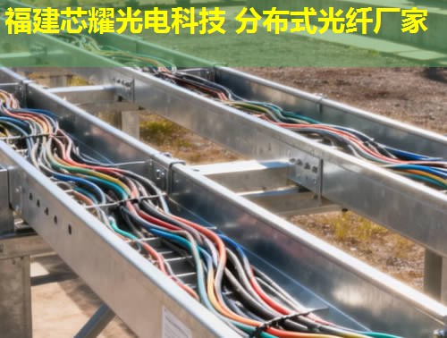 2026年分布式光纖傳感技術(shù)排行榜：前10強(qiáng)廠家解析