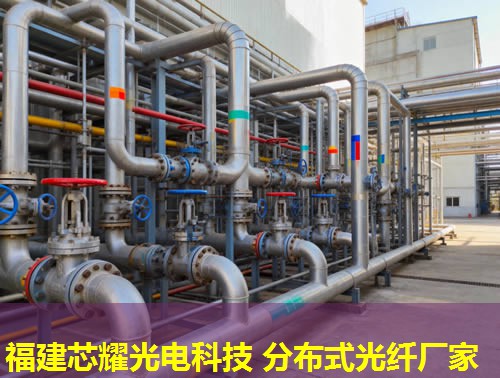 光纖網(wǎng)絡中的分布式應用：提升通信效率與穩(wěn)定性關鍵解析