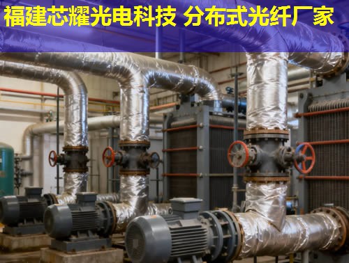 分布式光纖地面采集系統(tǒng)究竟有何優(yōu)勢？答案：實時監(jiān)測，精準數(shù)據(jù)采集