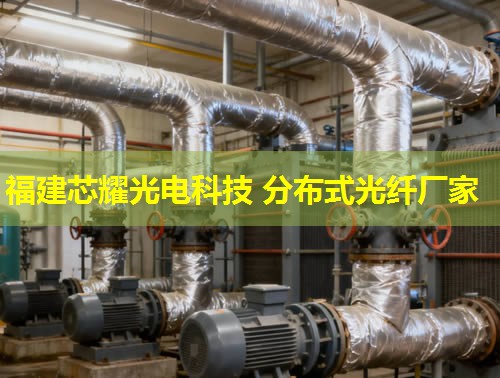 分布式光纖應變檢測設備推薦選購指南